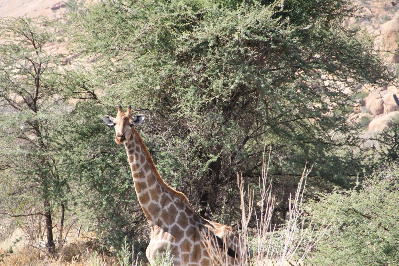 Ai Aiba - The Rock Painting Lodge Omaruru Exterior photo